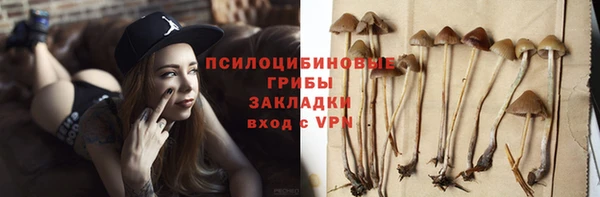 ГАЛЛЮЦИНОГЕННЫЕ ГРИБЫ Алзамай